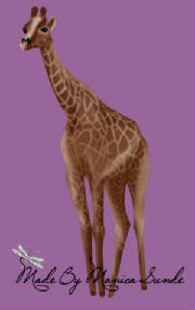 ms_mom_giraffe.jpg